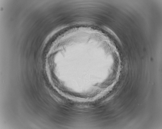 X0000082721027200702232316