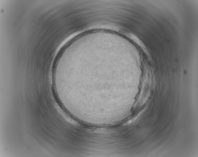 X0000082721028200702232316