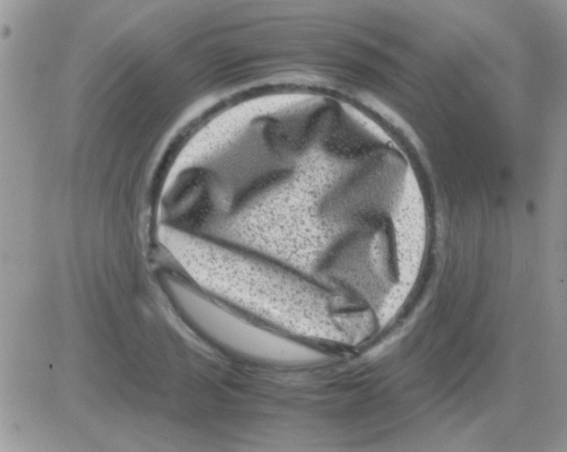 X0000082721029200702232316