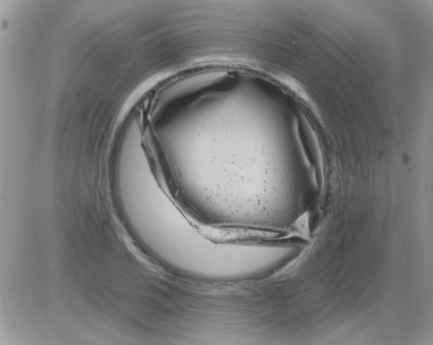 X0000082721030200702232316