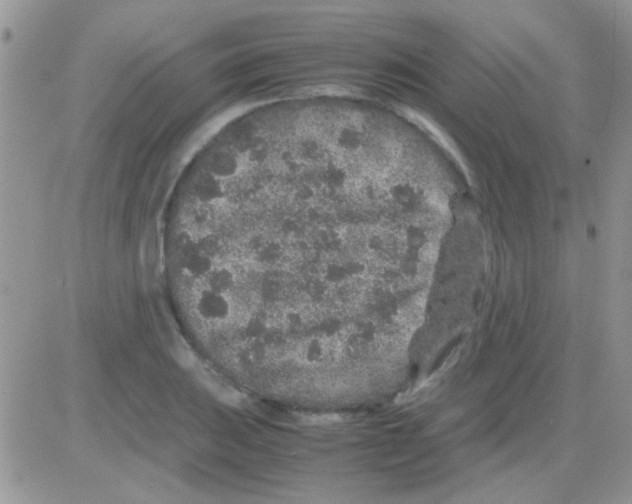 X0000082721031200702232316