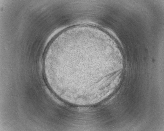 X0000082721032200702232316