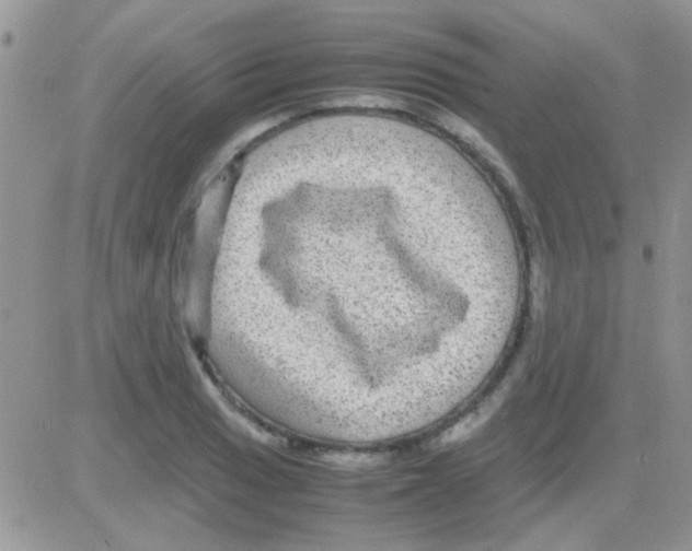 X0000082721033200702232316