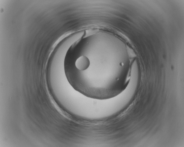 X0000082721034200702232316