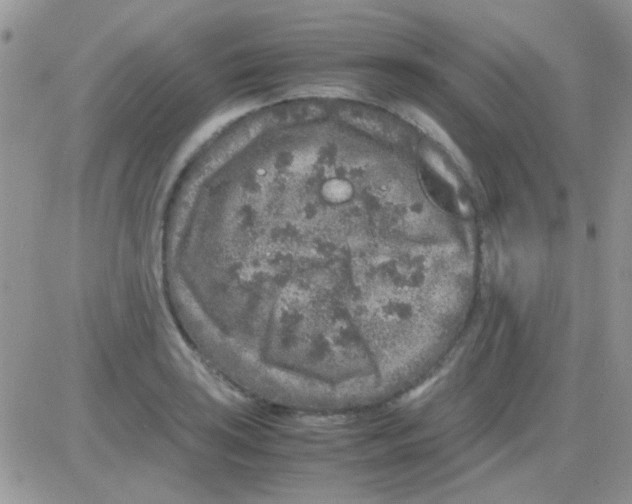 X0000082721035200702232316