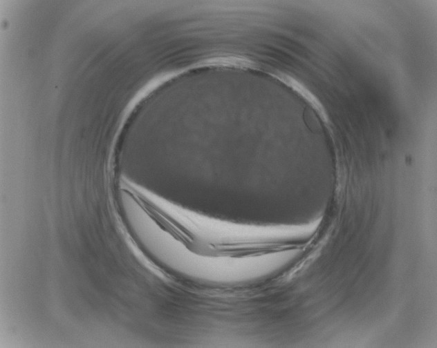 X0000082721037200702232316