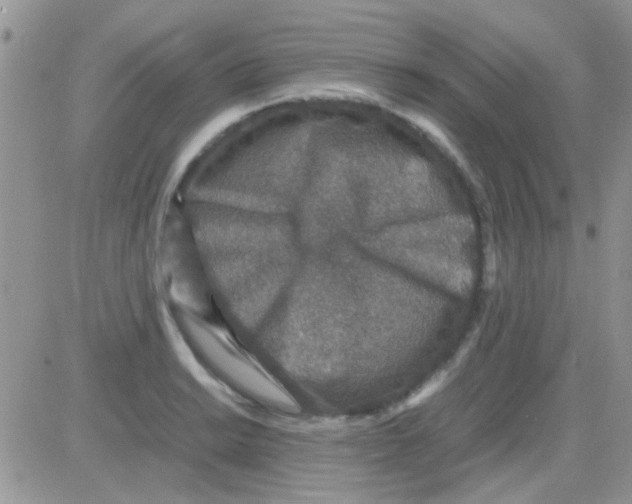 X0000082721038200702232316