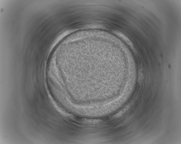 X0000082721039200702232316