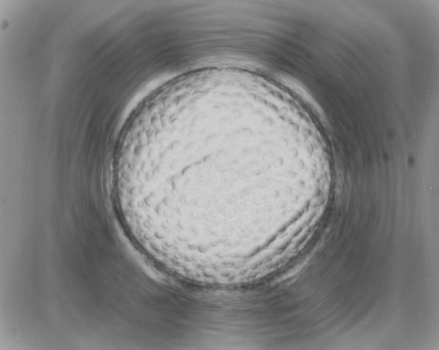 X0000082721040200702232316