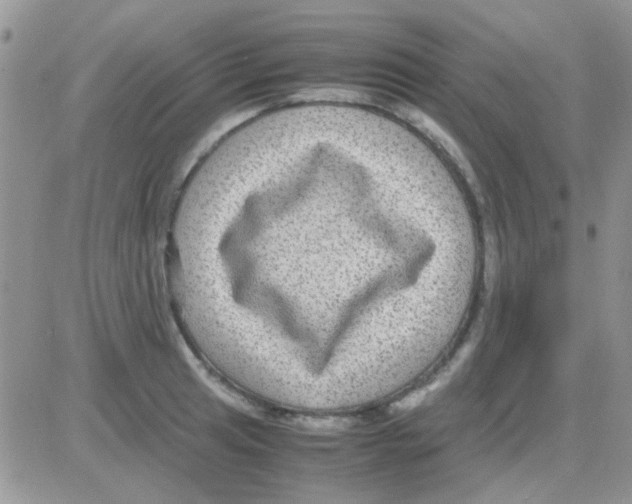 X0000082721041200702232316