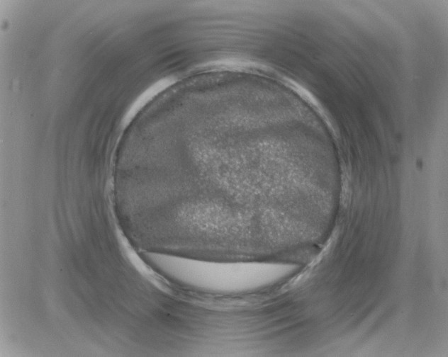 X0000082721042200702232316