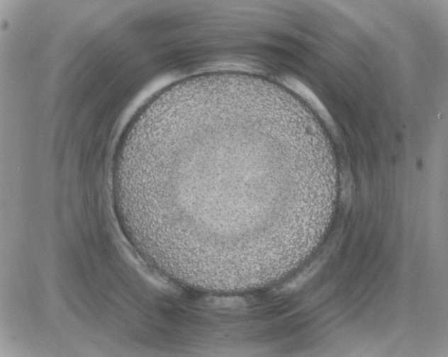 X0000082721043200702232316