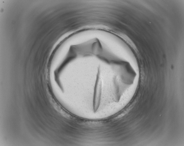 X0000082721044200702232316