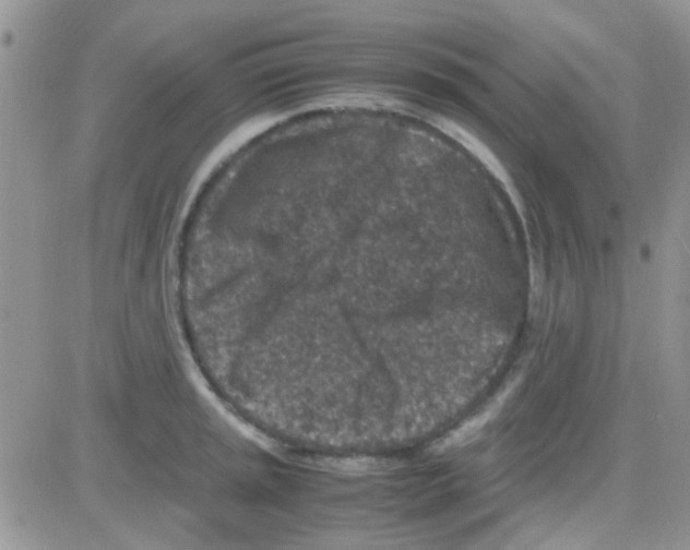 X0000082721045200702232316