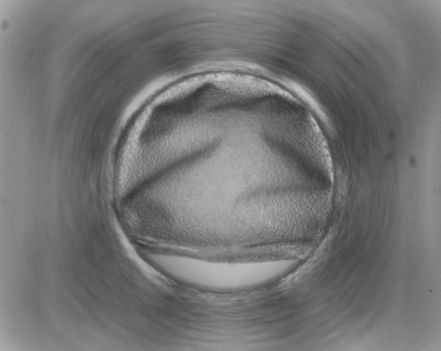 X0000082721046200702232316