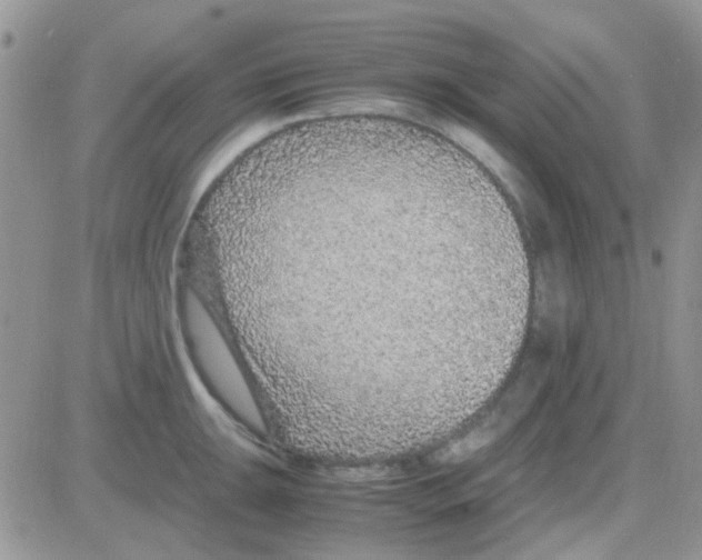 X0000082721047200702232316