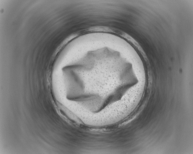 X0000082721049200702232316