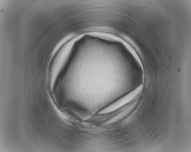 X0000082721050200702232316