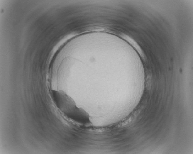 X0000082721051200702232316