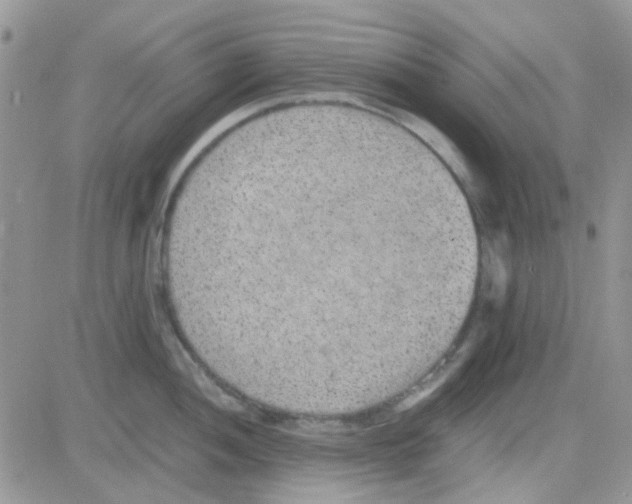 X0000082721052200702232317