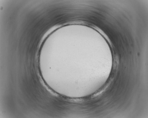 X0000082721053200702232317