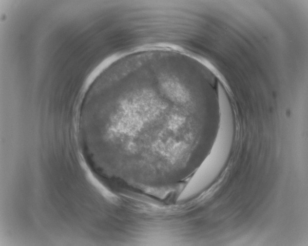 X0000082721054200702232317