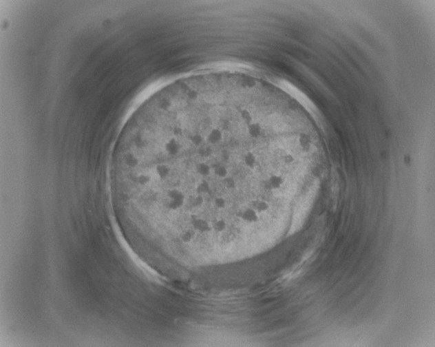 X0000082721055200702232317