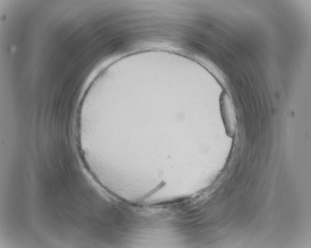 X0000082721056200702232317