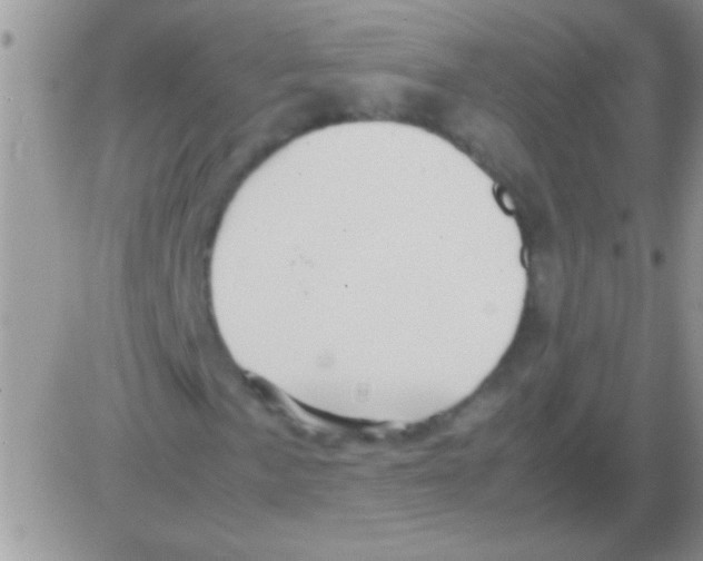 X0000082721057200702232316