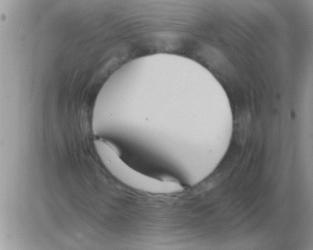 X0000082721058200702232316