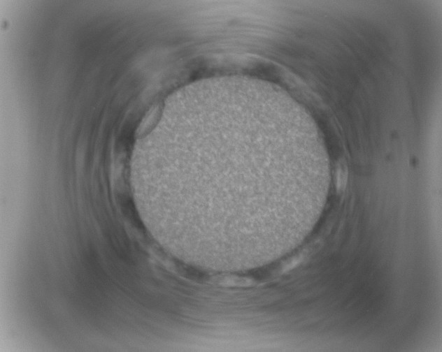 X0000082721059200702232316