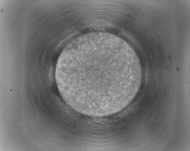 X0000082721060200702232316