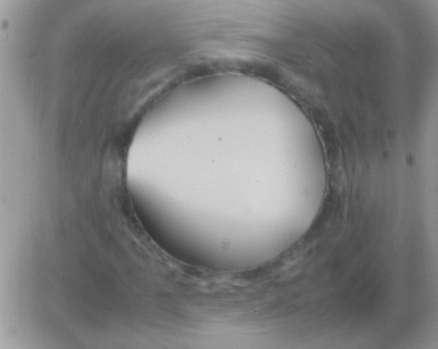 X0000082721061200702232316