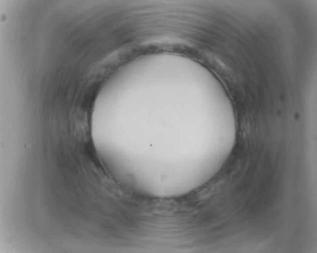 X0000082721062200702232316