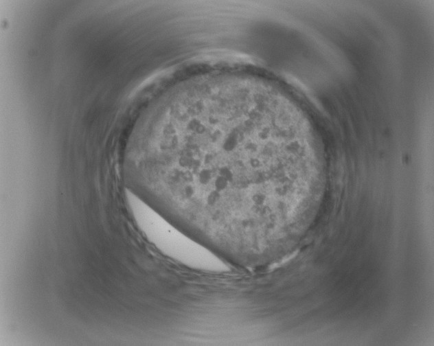 X0000082721063200702232316