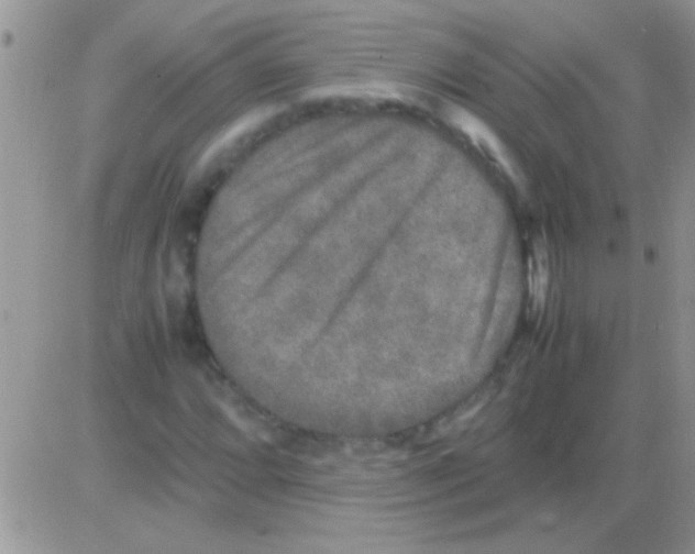 X0000082721064200702232316