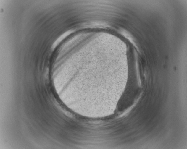 X0000082721066200702232316