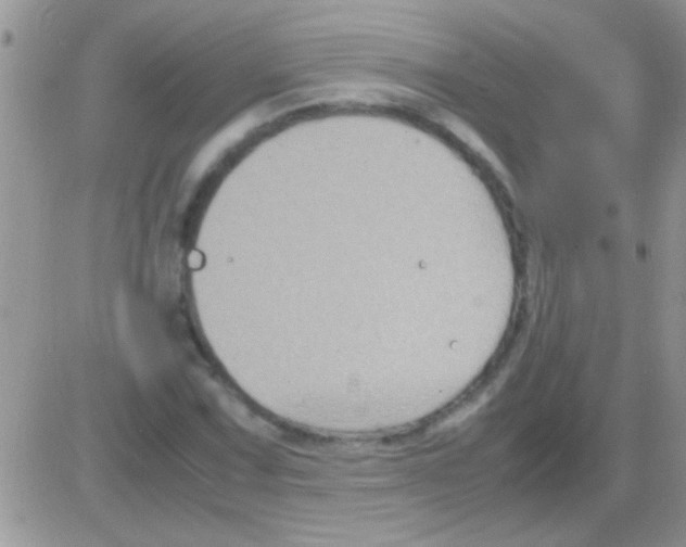 X0000082721067200702232316