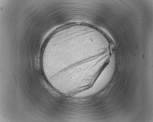 X0000082721068200702232316