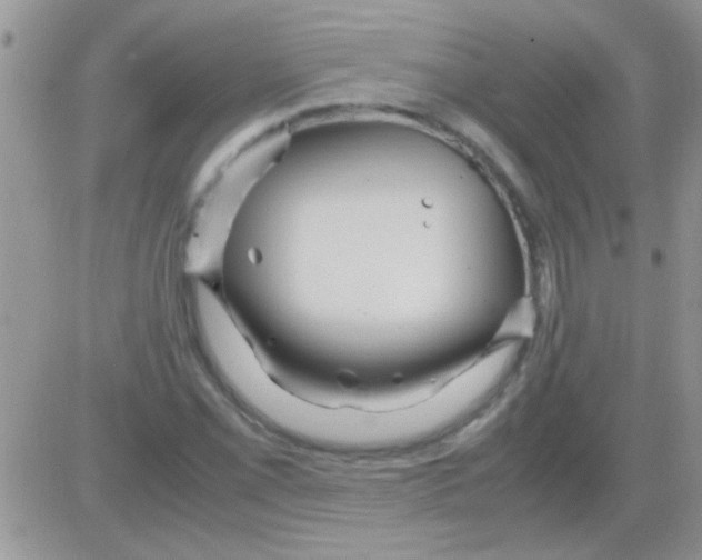 X0000082721069200702232316