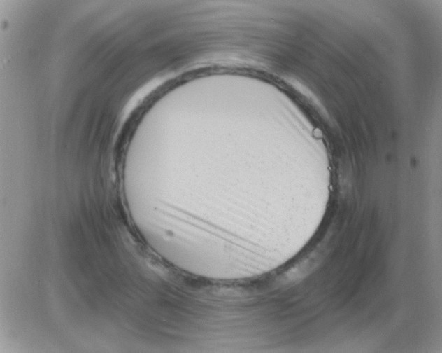 X0000082721070200702232316