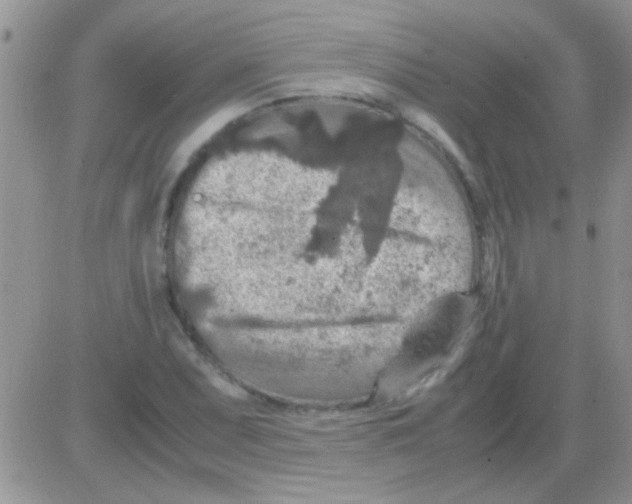 X0000082721071200702232316