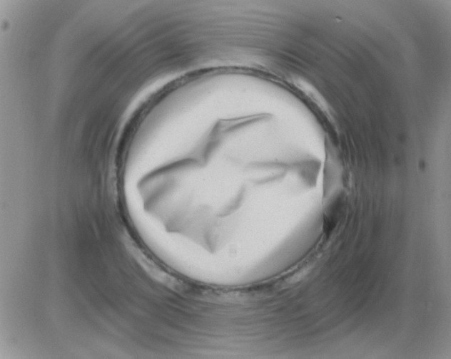 X0000082721072200702232316