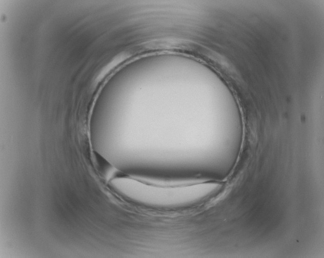 X0000082721073200702232316