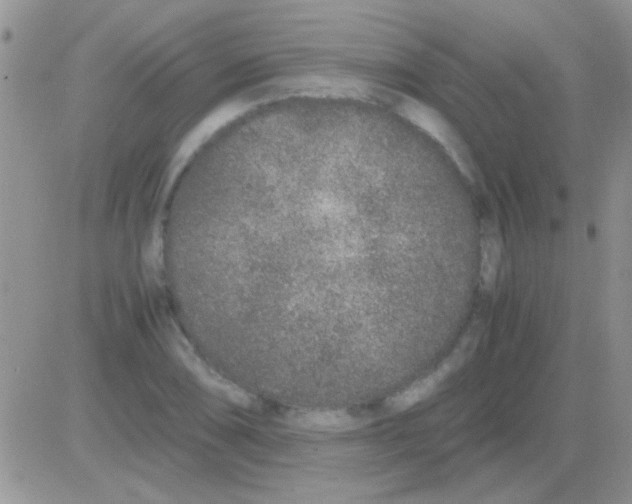 X0000082721074200702232315