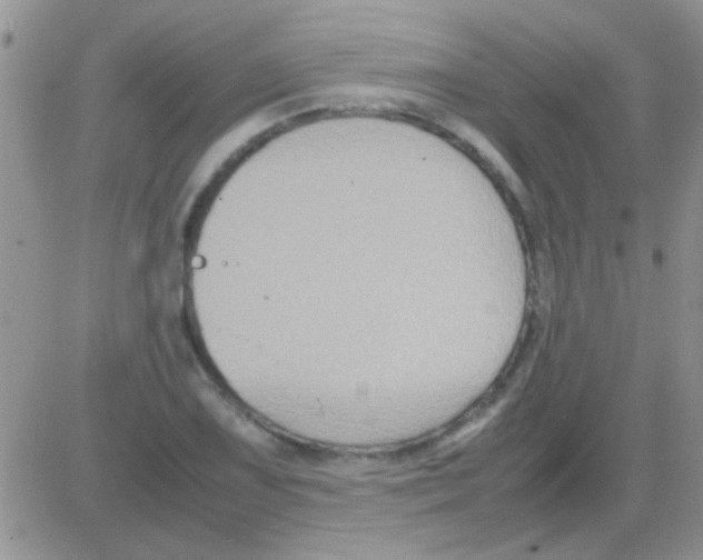 X0000082721075200702232315