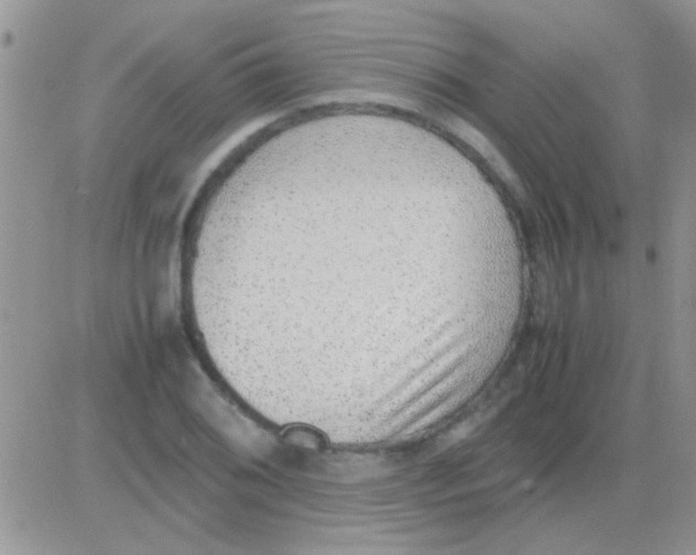 X0000082721076200702232315