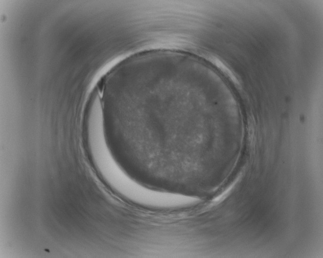 X0000082721077200702232315