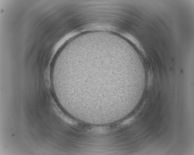 X0000082721078200702232315