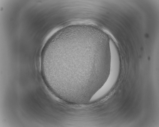 X0000082721079200702232315